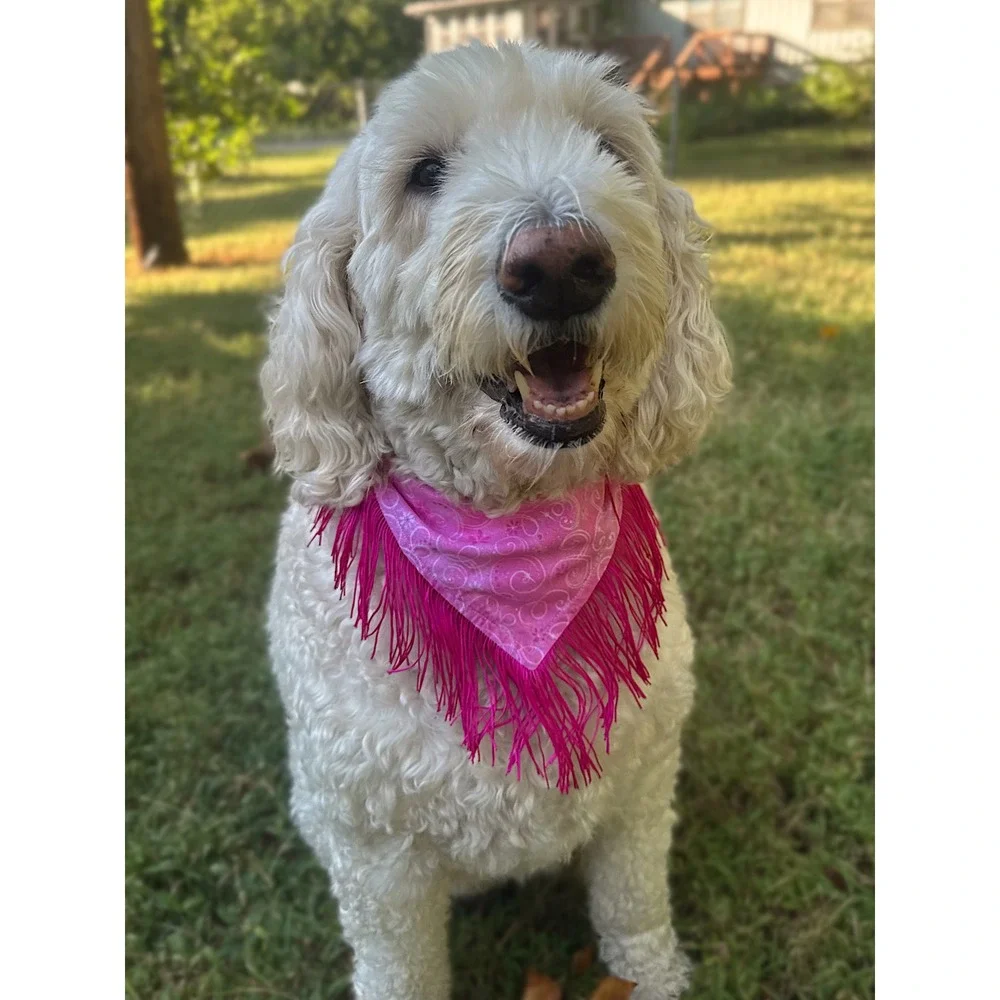 Disco Cowgirl Pink Glitter Fringe Dog Bandana Handmade Western Pet Accessory